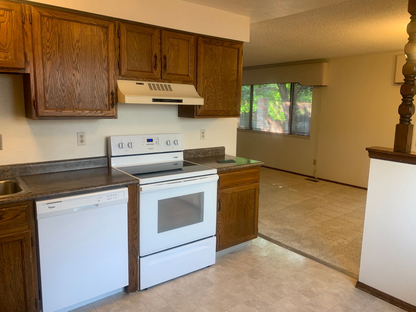 Immaculate Ranch with Large Backyard and Basement in Arvada – photo 4