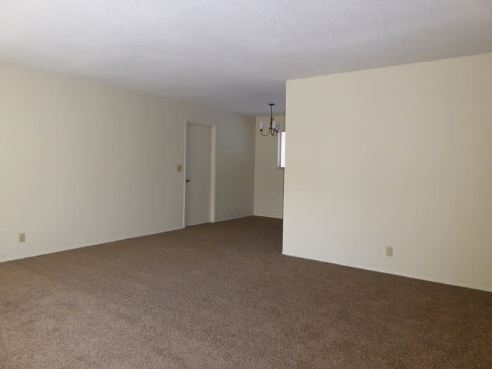 17 Glenn Ayre Street – photo 3