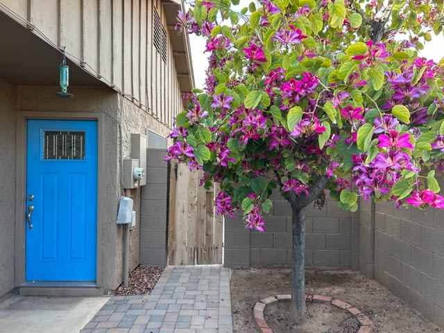 1418 East El Parque Drive – photo 1