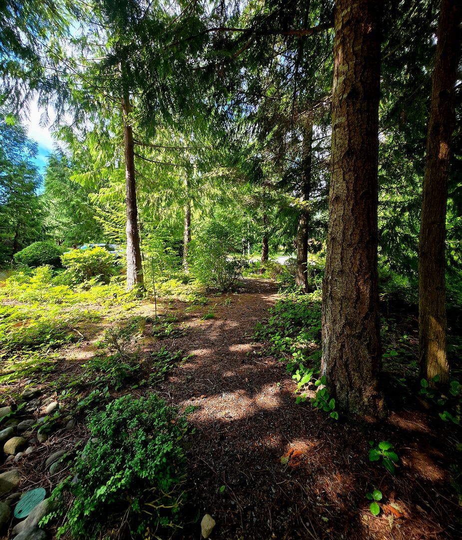 Pending Application 2 Bed 2 Bath With Den And Detached Casita For Rent In Port Ludlow – photo 3