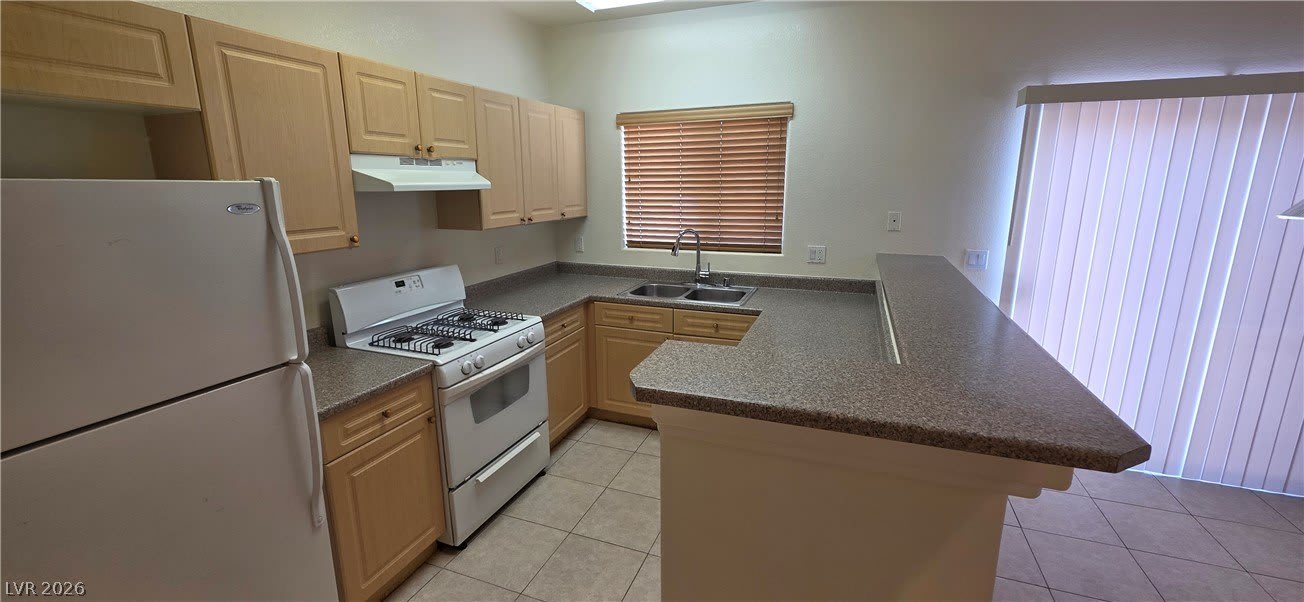 8832 Roping Rodeo Avenue – photo 4