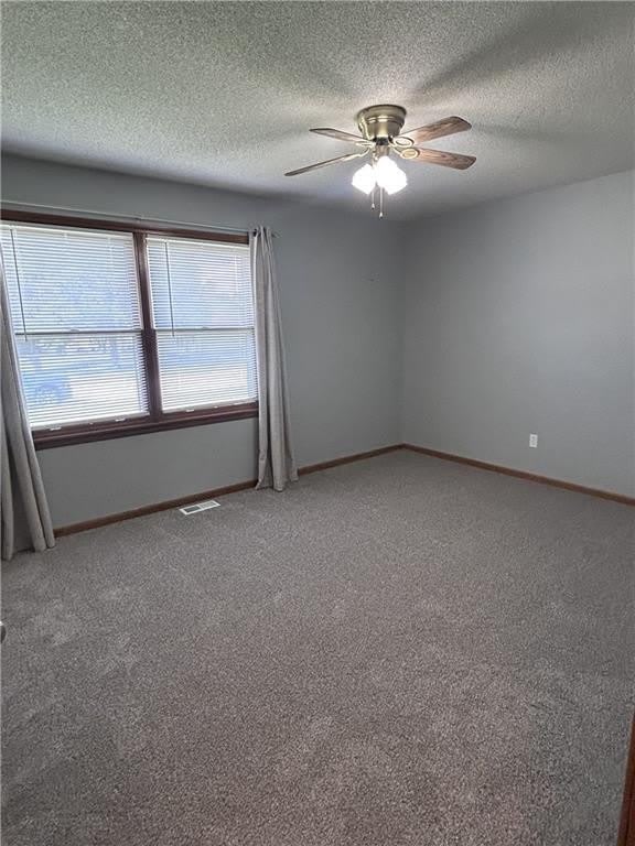 227 E Colleen Drive – photo 5