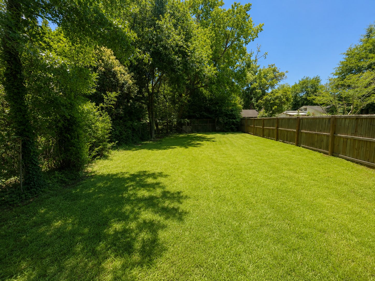 3585 Napier Avenue – photo 5