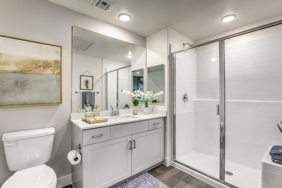 Radiance at Rock Springs 55+ – photo 4