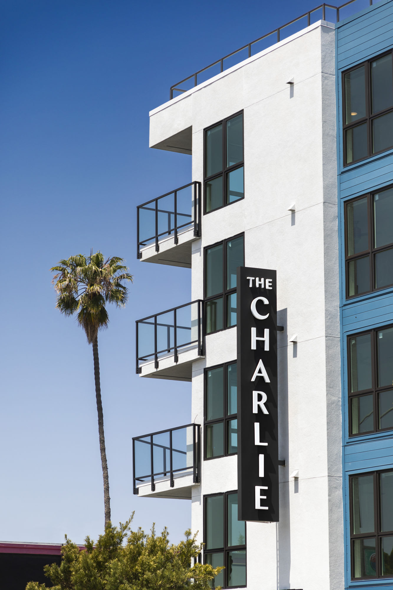The Charlie Mar Vista – photo 1