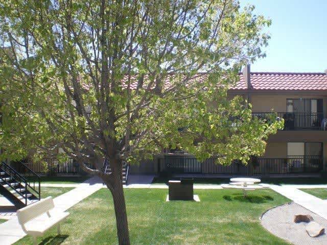 Las Brisas – photo 2