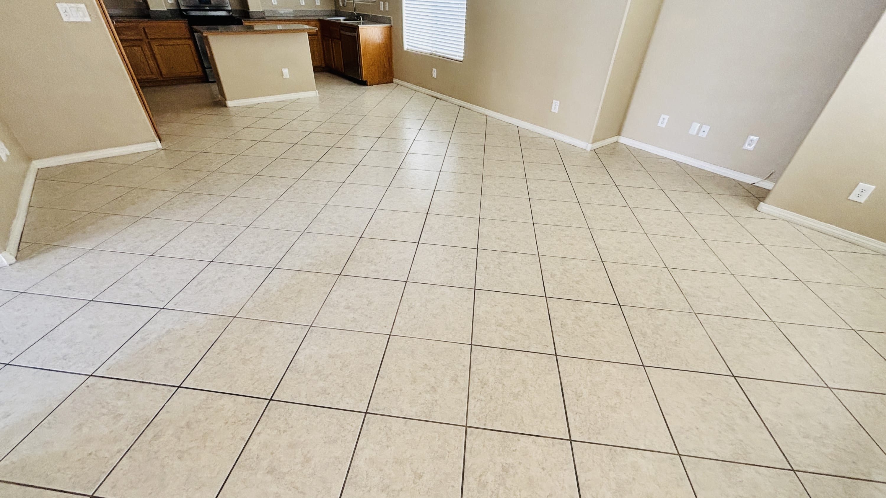 7308 Laburnum Street – photo 4