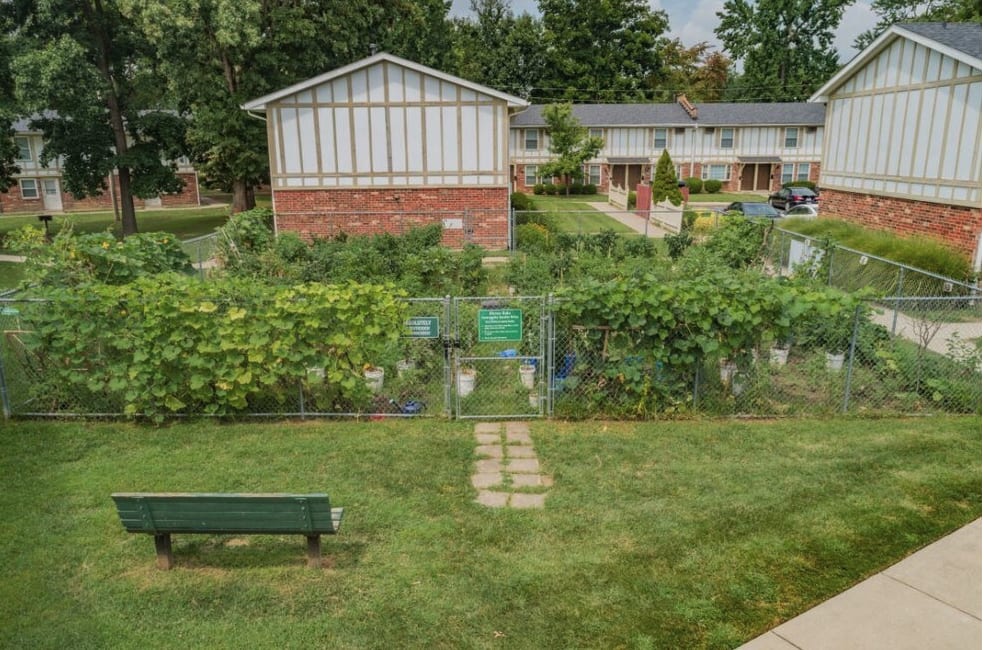 Eleven Oaks – photo 4