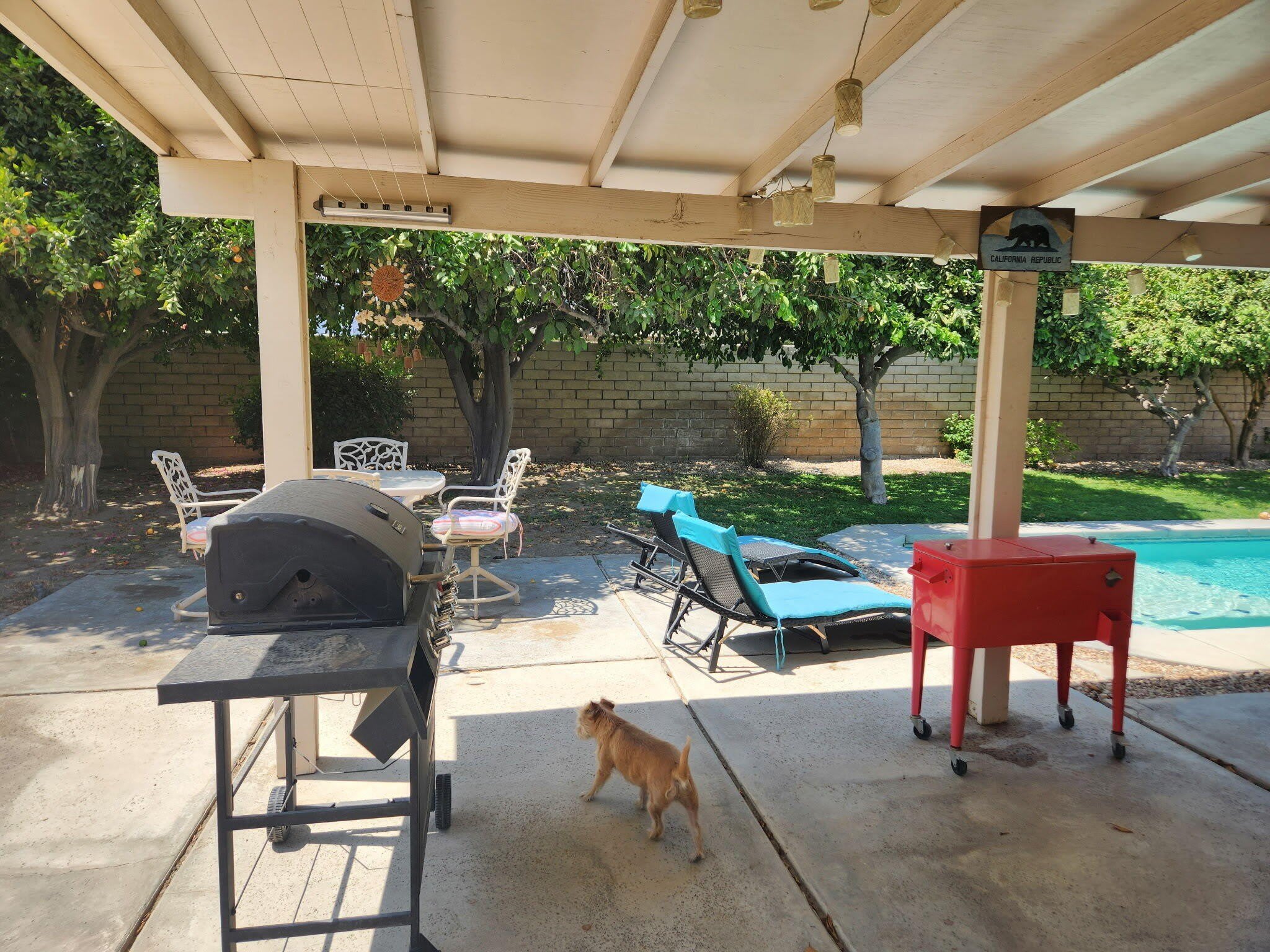 43101 Balsam Lane – photo 3