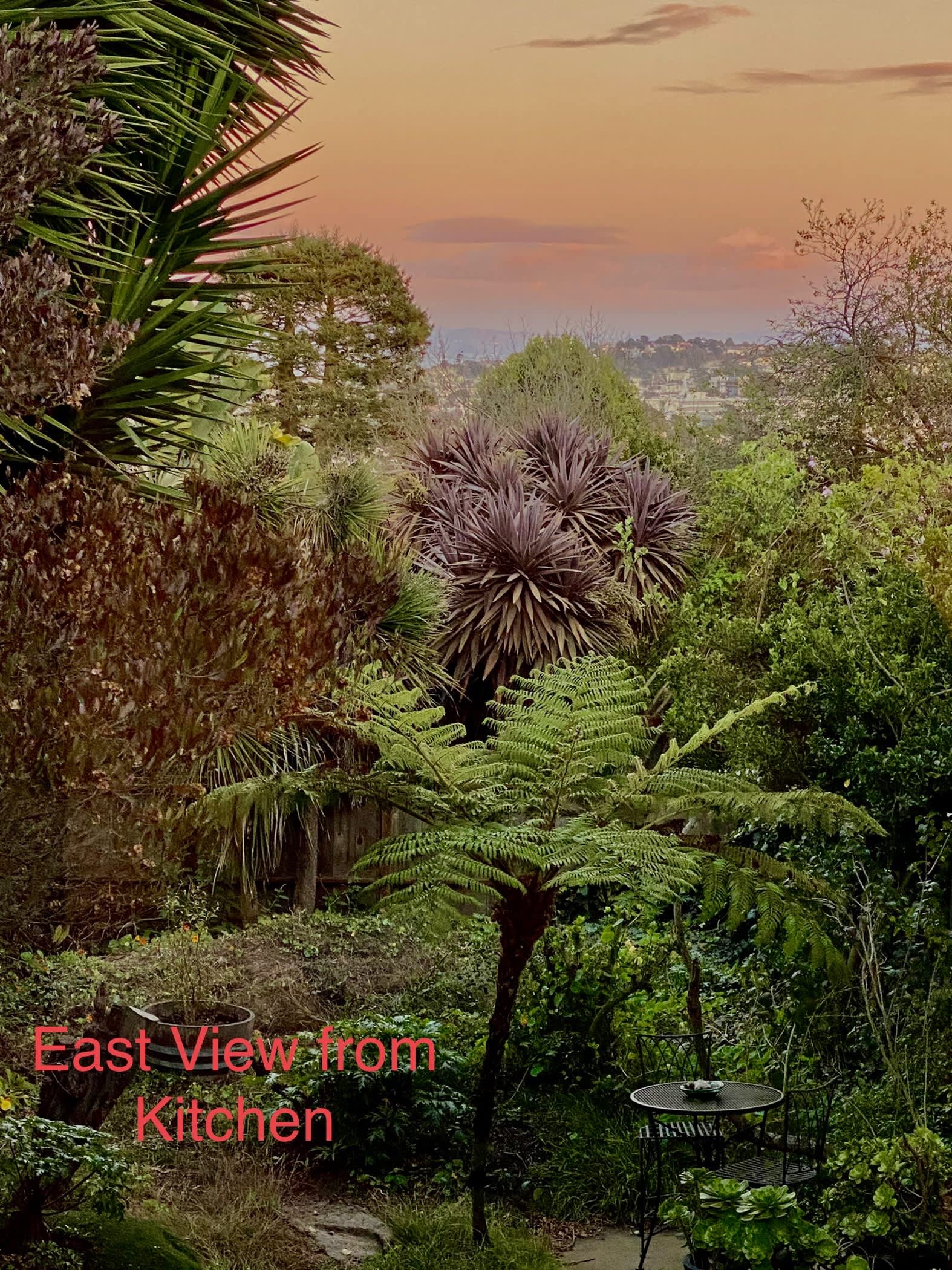 375 Bocana Street – photo 5