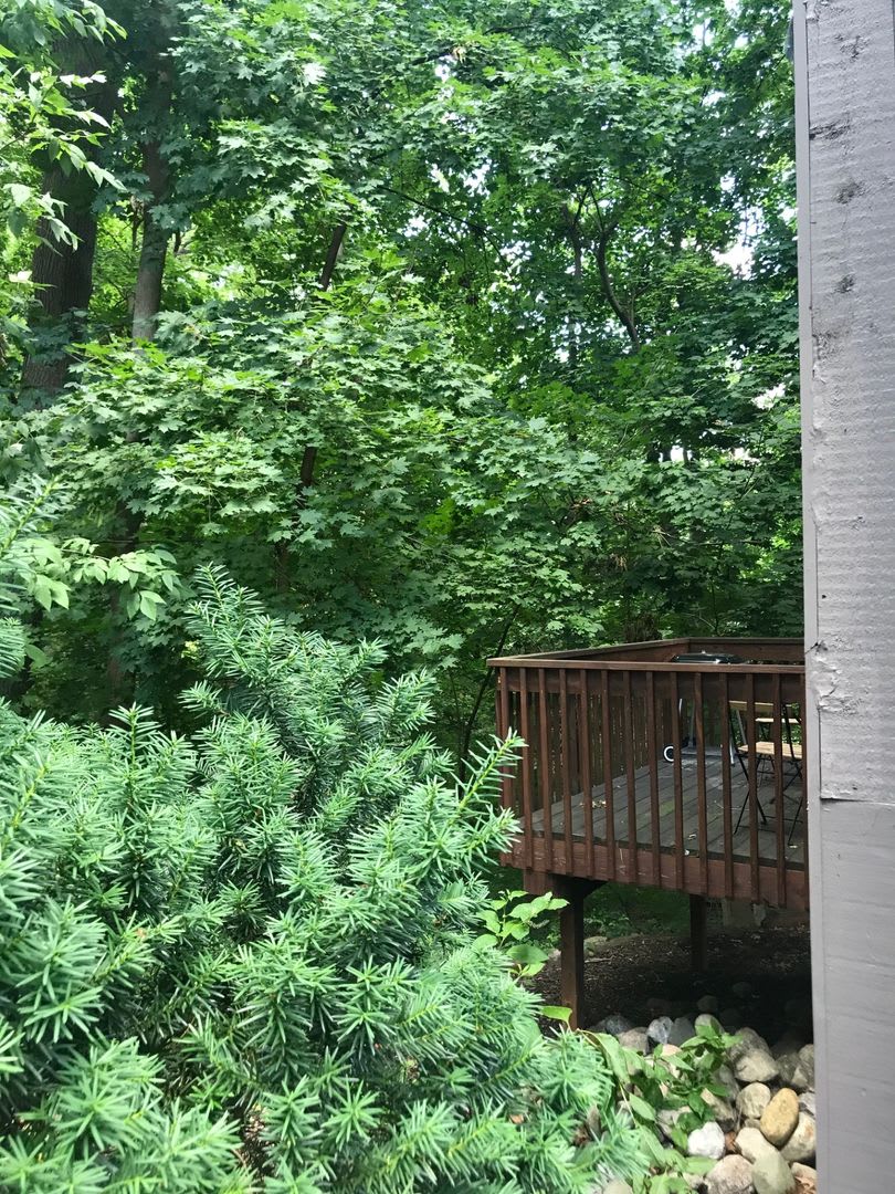106 Tulip Tree Ct – photo 2