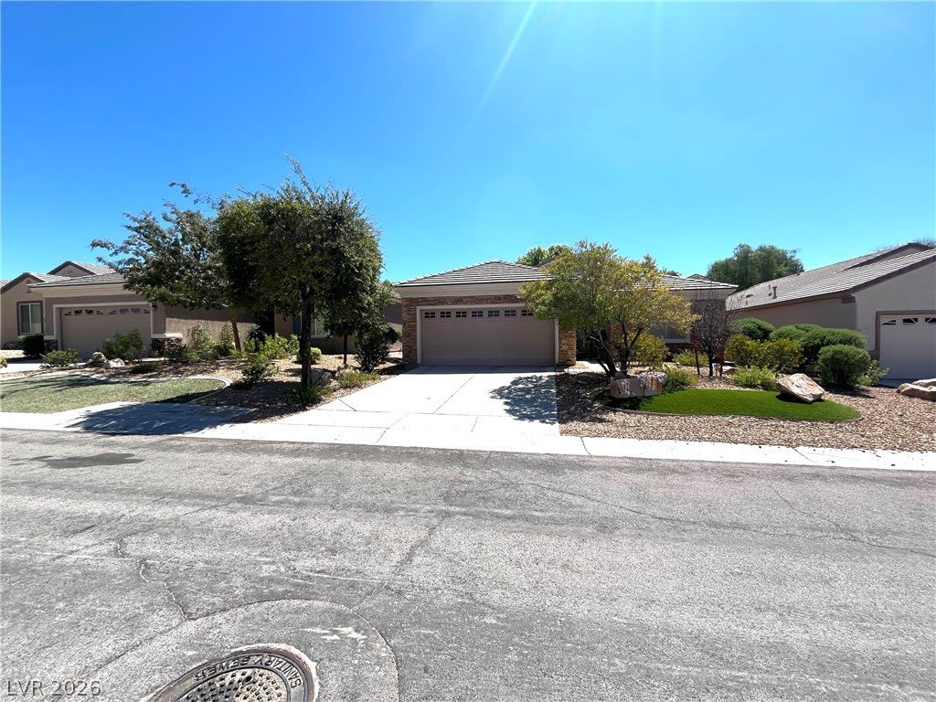 2527 Stardust Valley Drive – photo 1