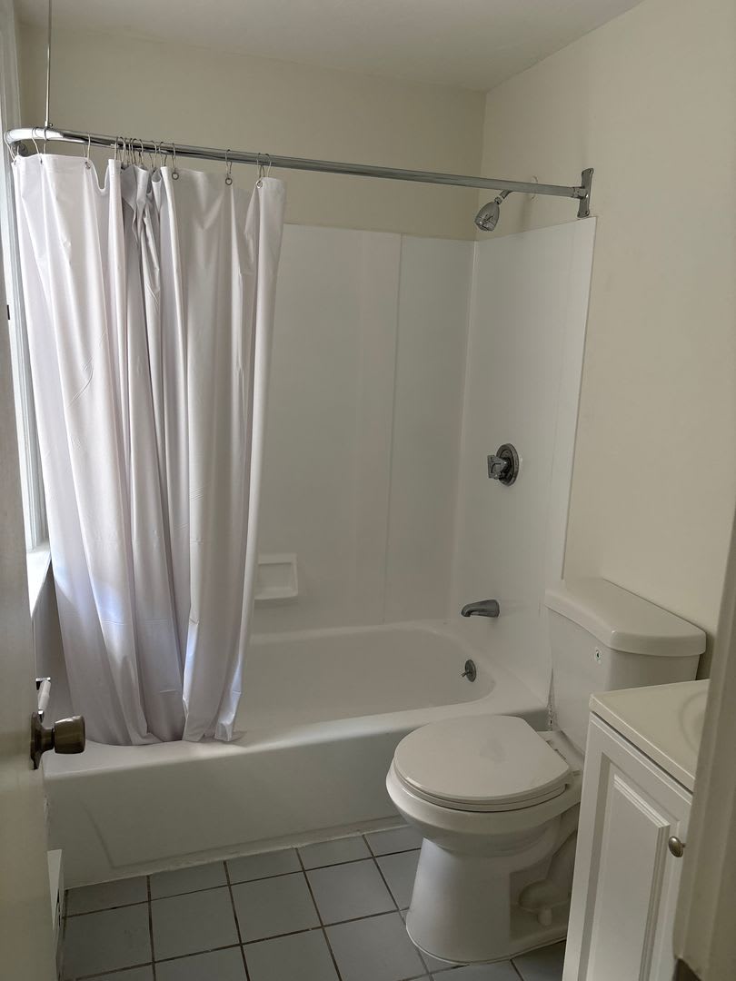 Sunny Allston Studio Near Boston Landing & Green Line – photo 5