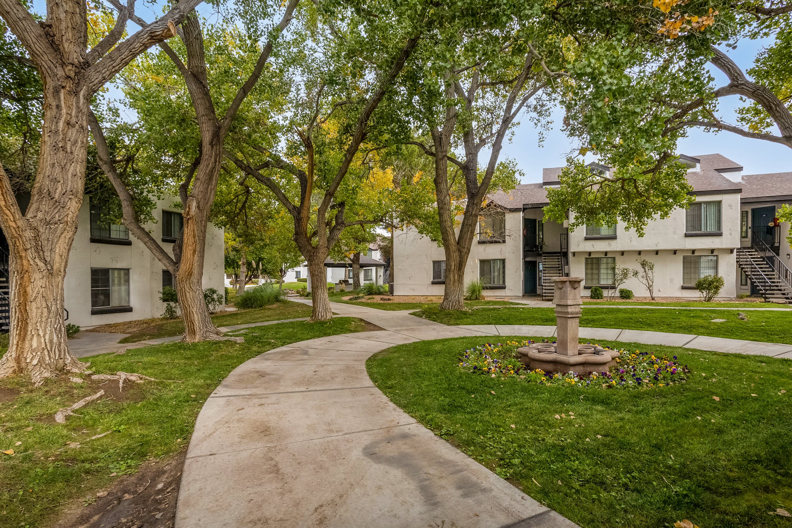 Union 505 – photo 4