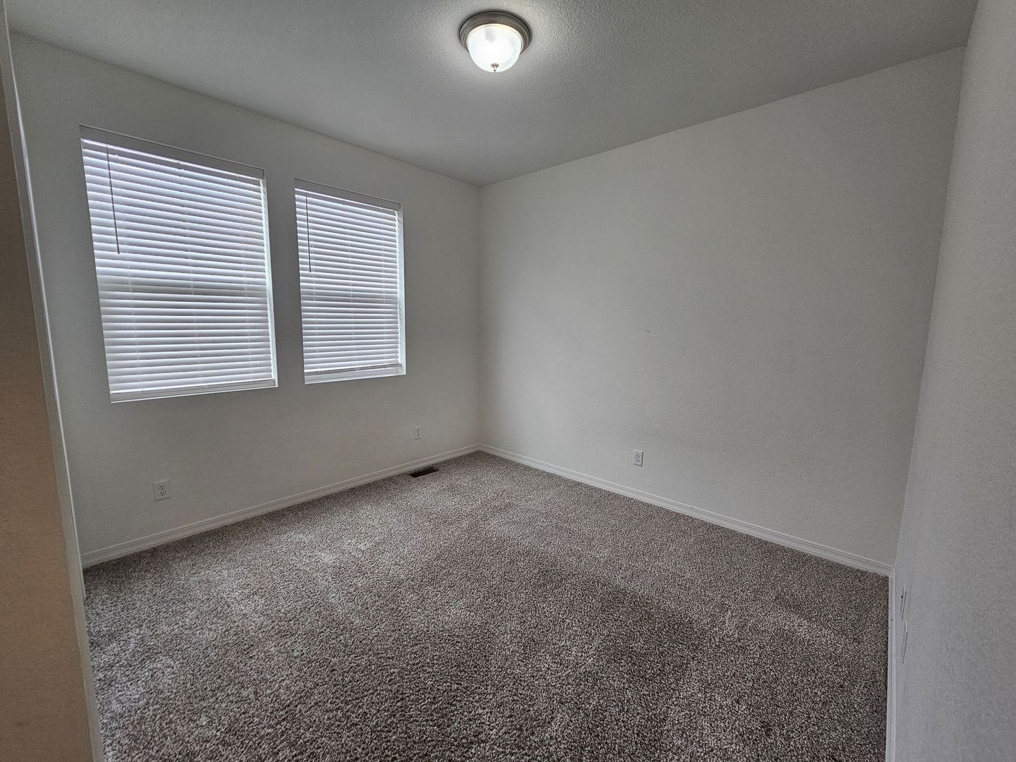 4 Bed 3 Bath in 80831!! – photo 4