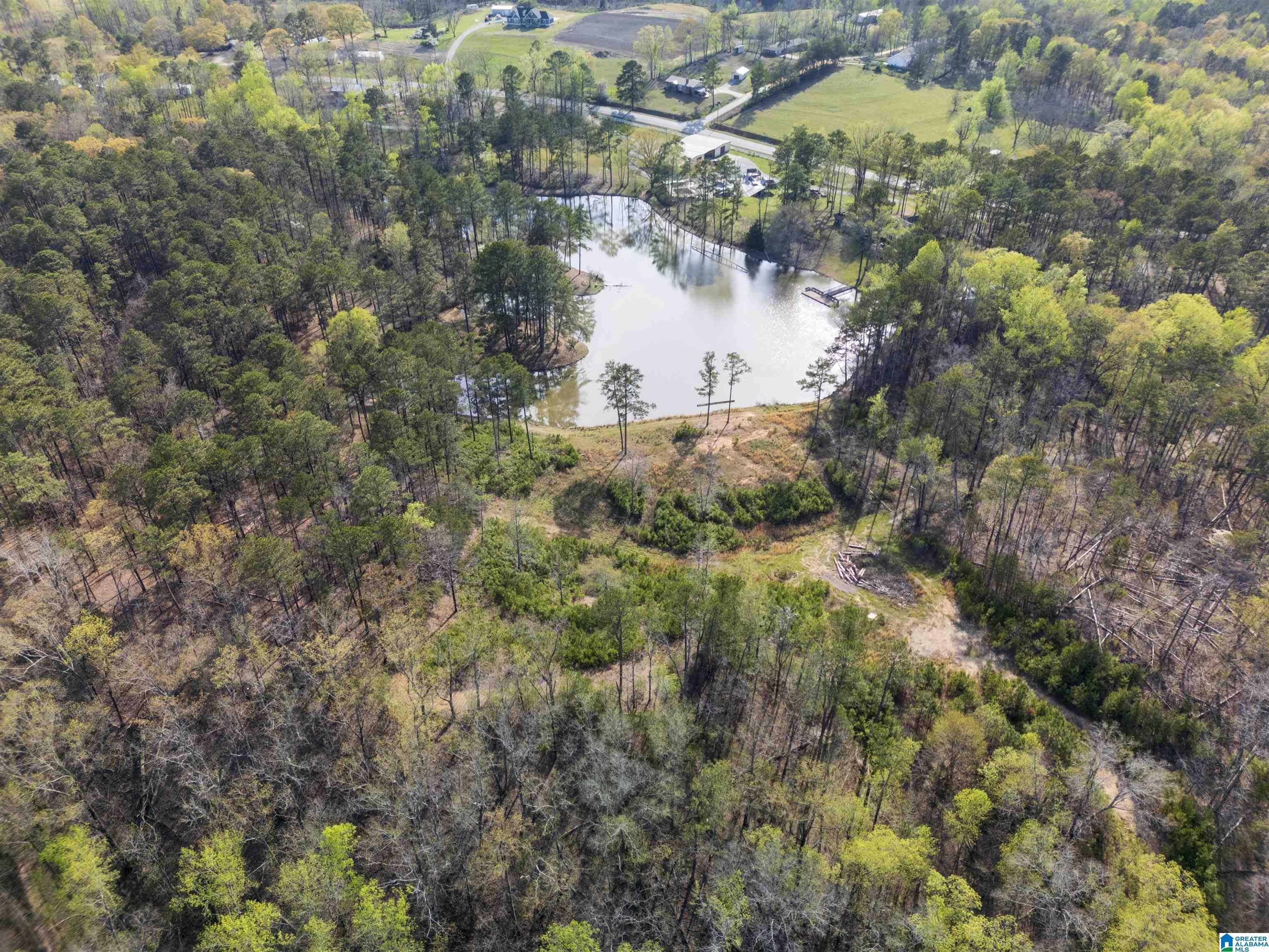 4083 COUNTY ROAD 158 – photo 4