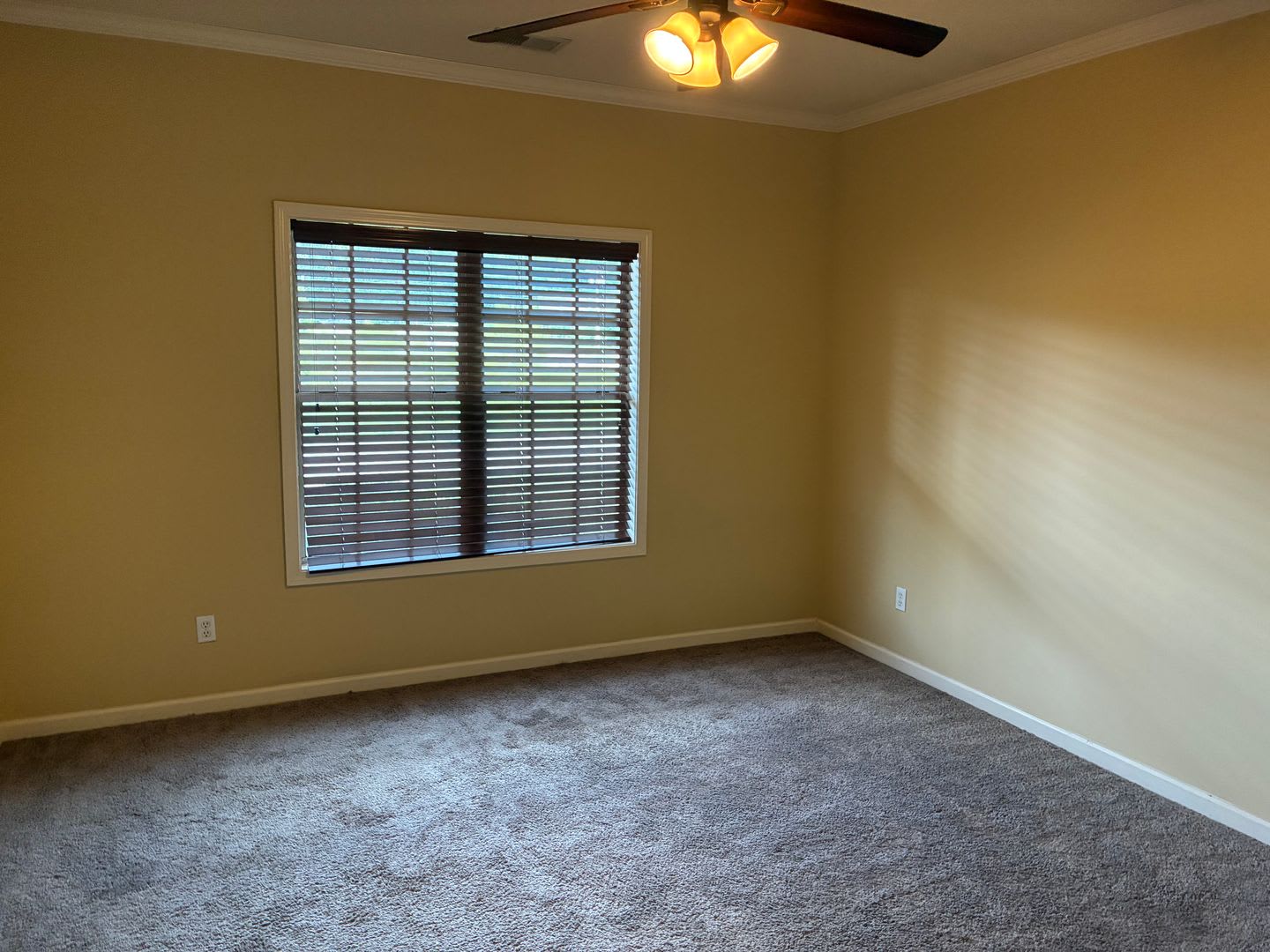 97 Cypress Glen – photo 5