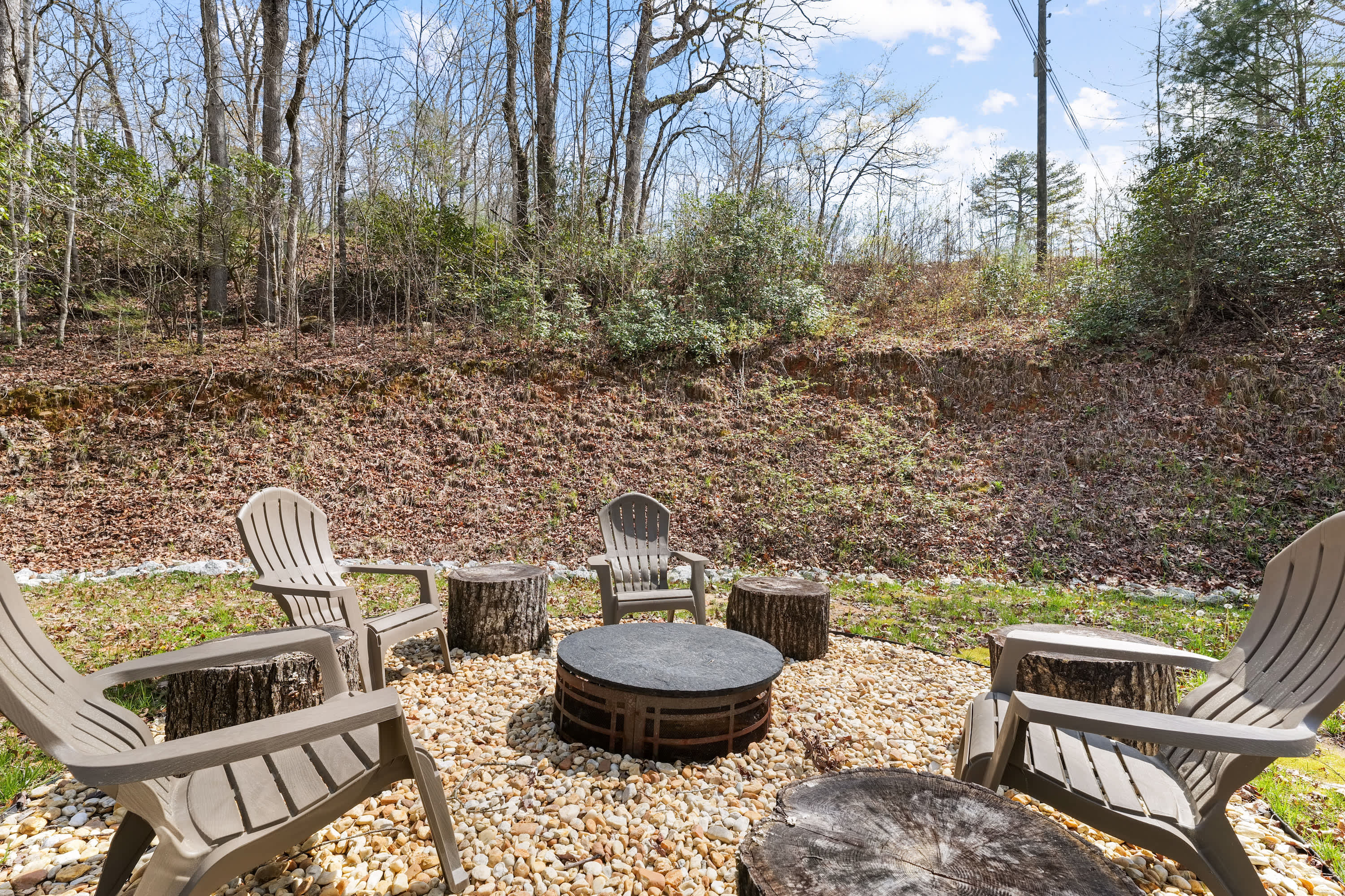 3103 Ga 197 – photo 3