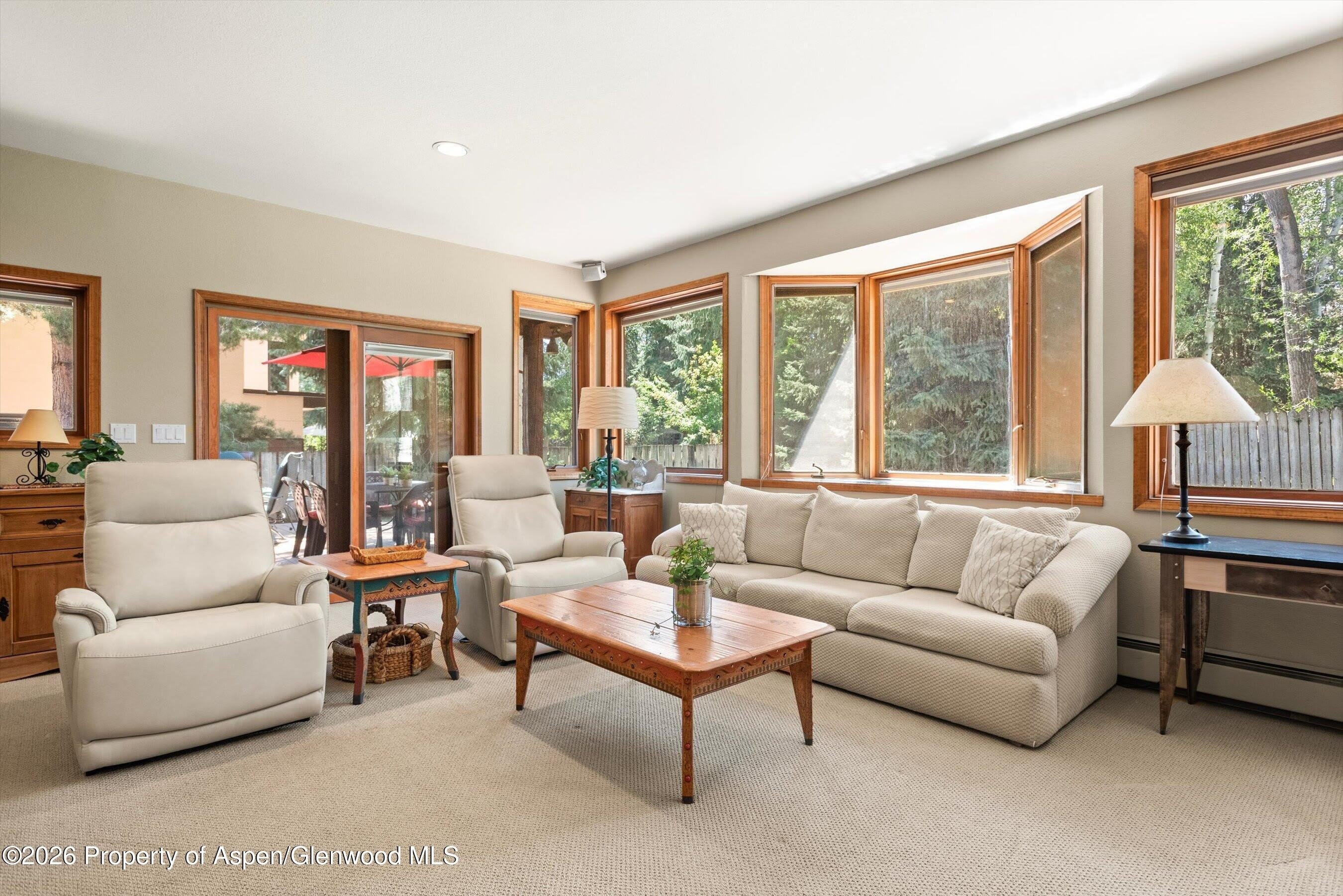 1375 Snowbunny Lane – photo 5