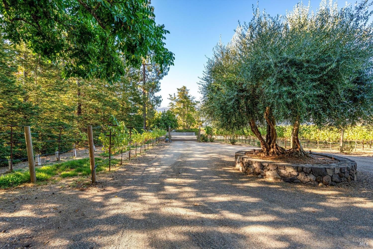 20 Rosedale Road – photo 3