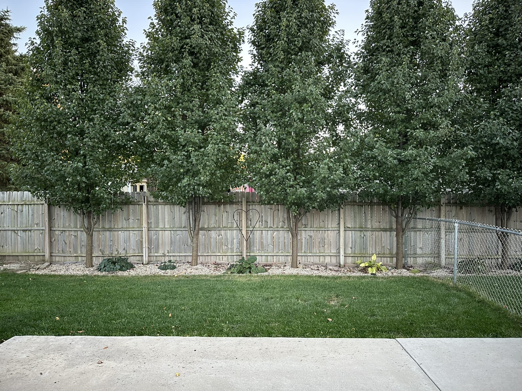 1621 Southridge Drive – photo 4
