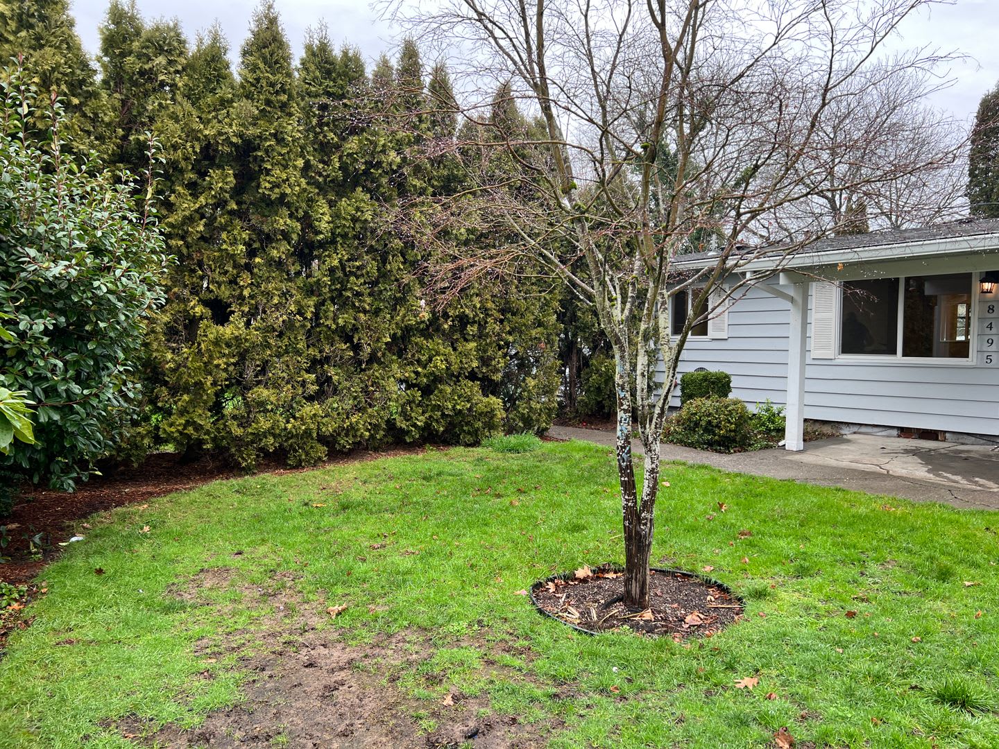 Cozy Updated 3 Bedroom Happy Valley Unit – photo 4