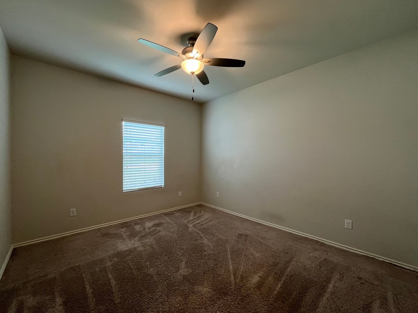 917 Martin Street – photo 5