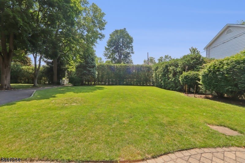 25 Alma Ave – photo 3