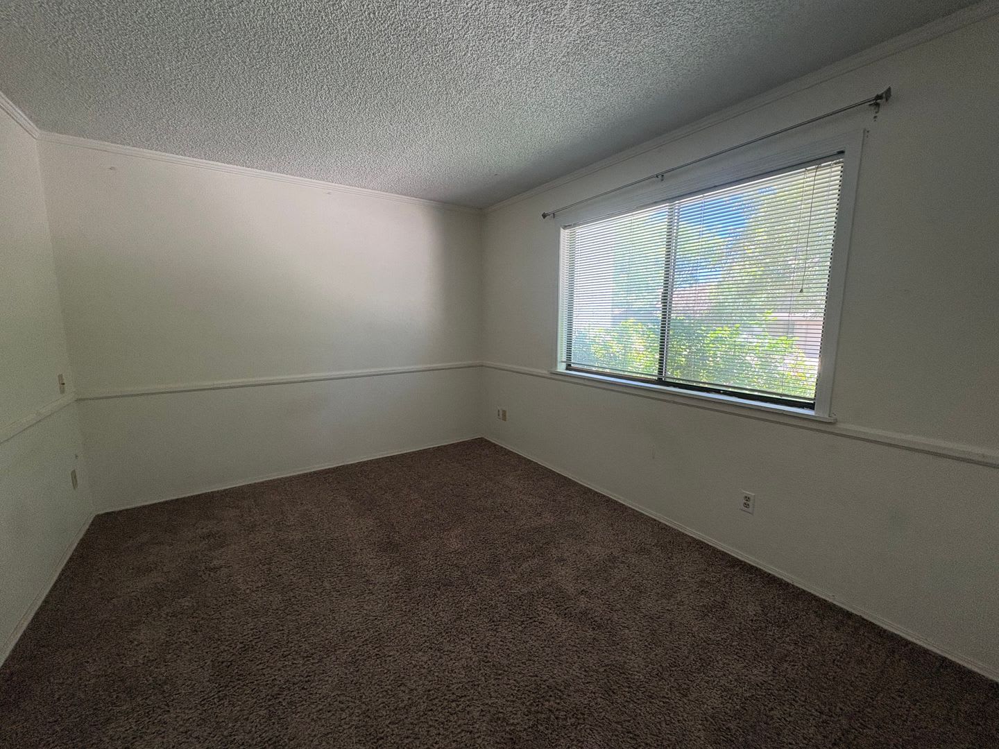 Beautiful Lakewood Village Condo – photo 3