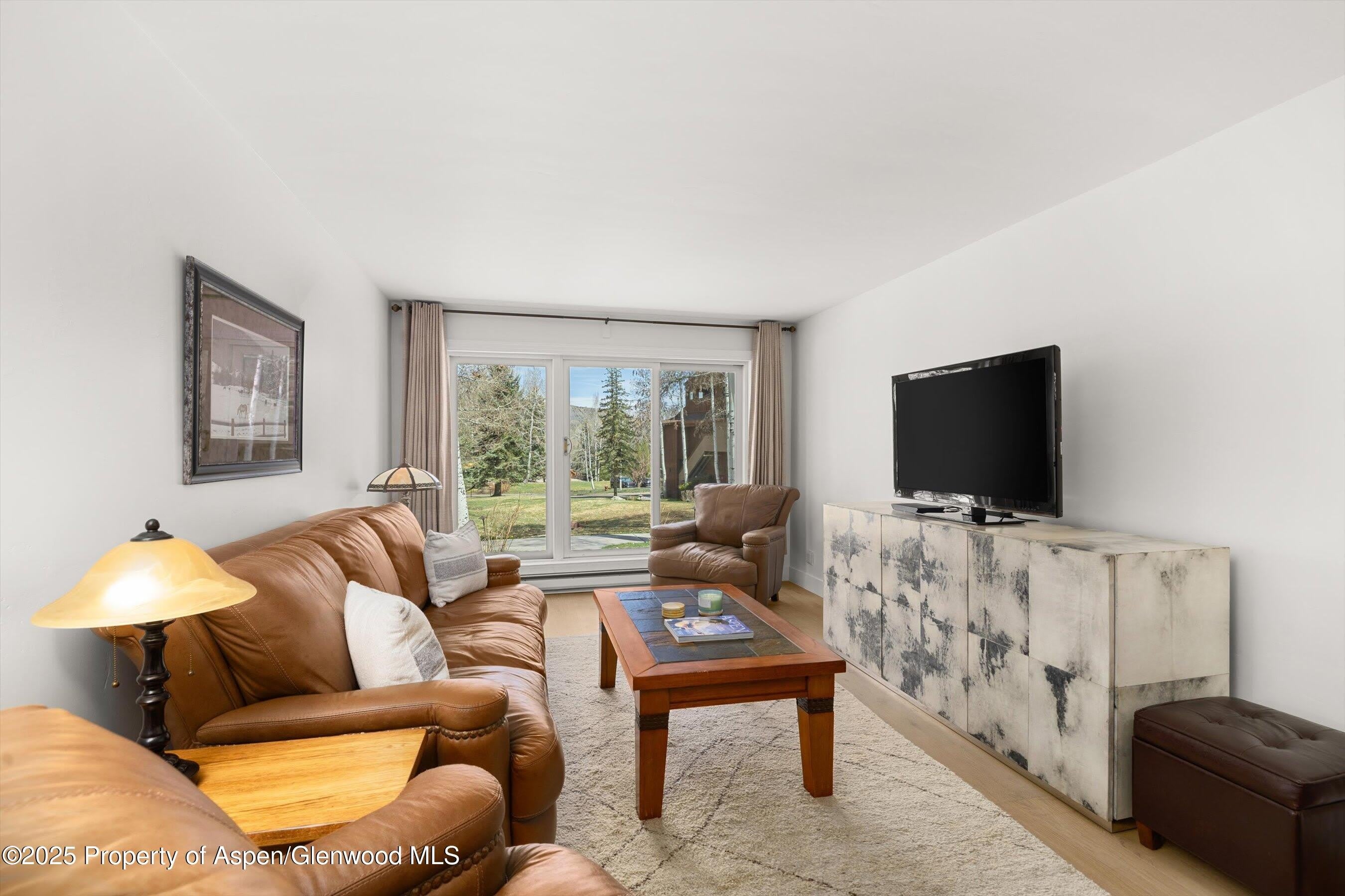 294 Snowmass Club Circle – photo 5