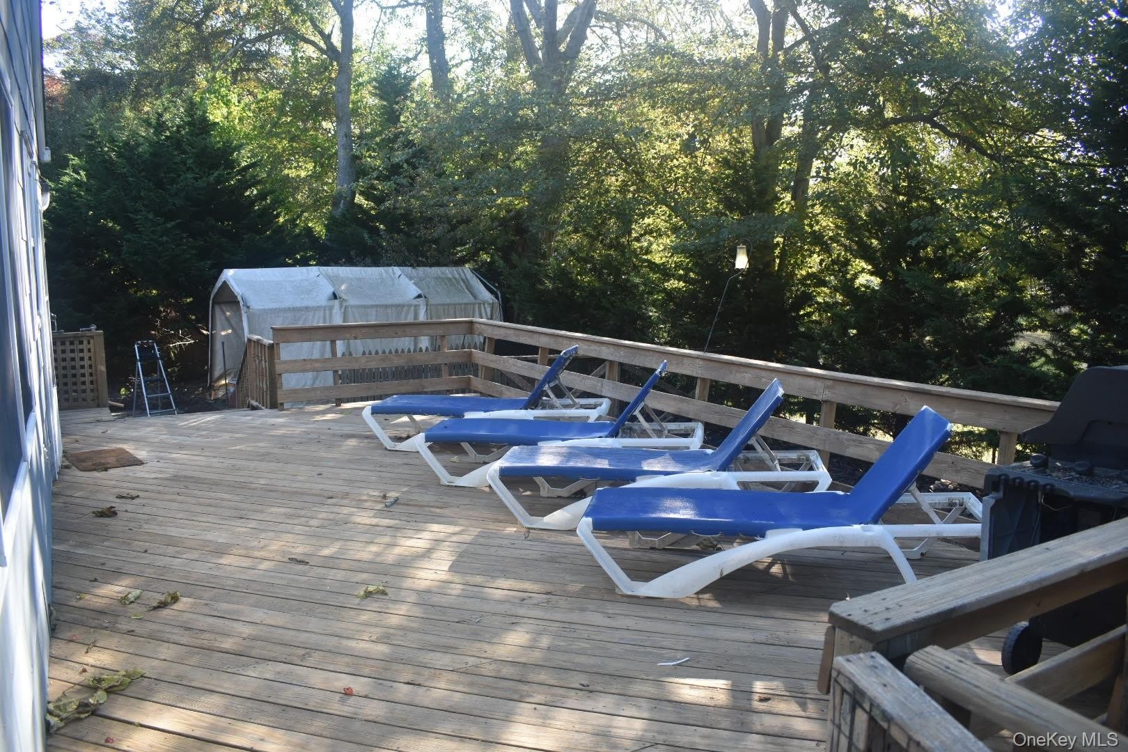53 Magnolia Drive – photo 5
