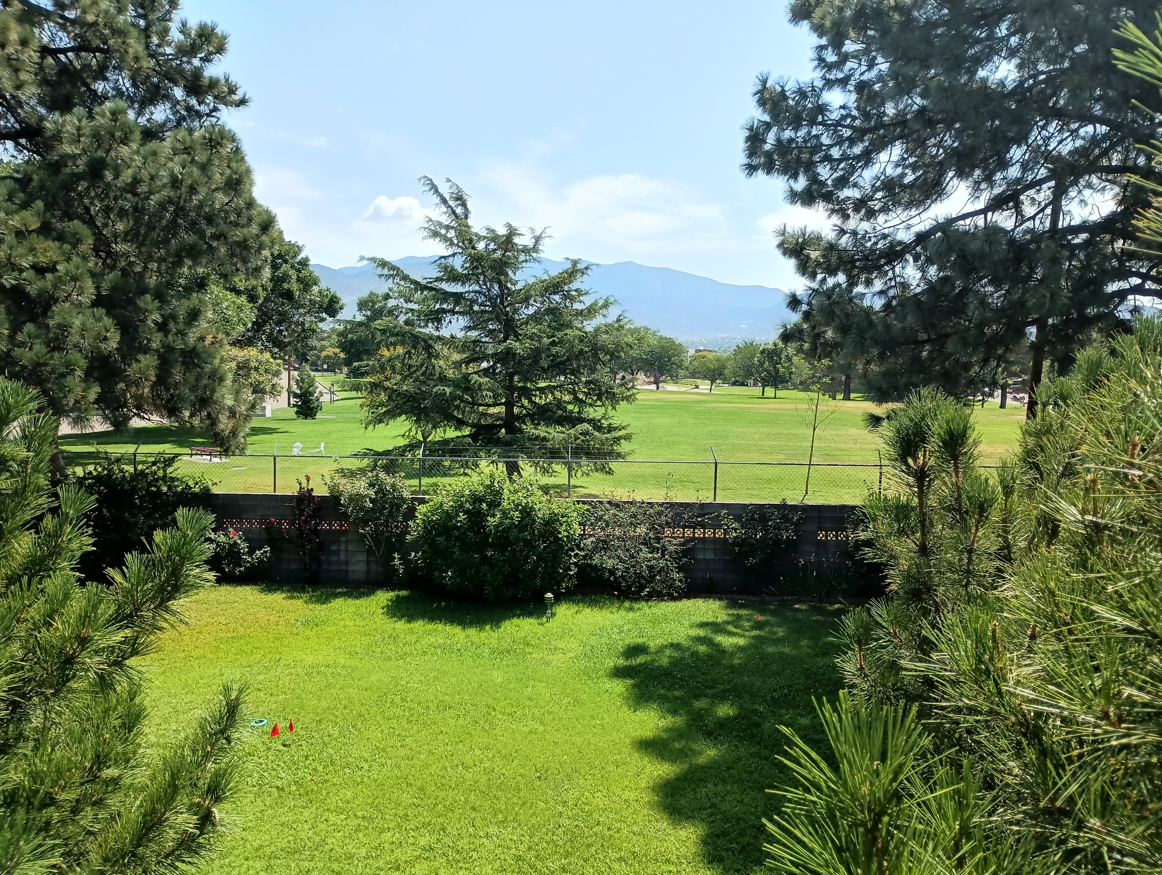 Park Paradise – photo 3