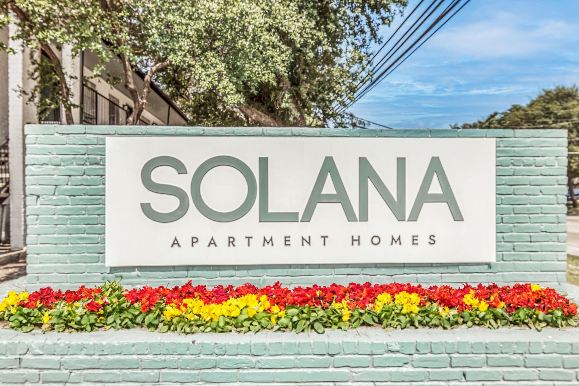 Solana – photo 4