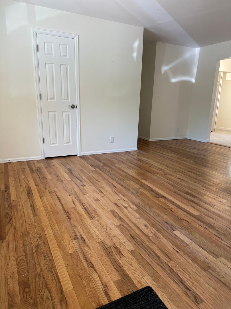 Spacious 3 Bedroom House with Garage and Large Yard! – photo 3