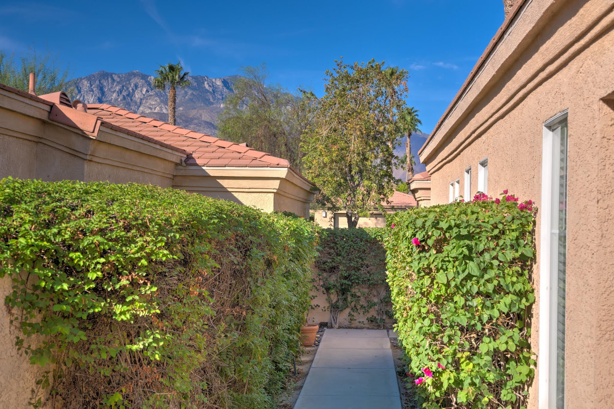 29576 Sandy Court – photo 4