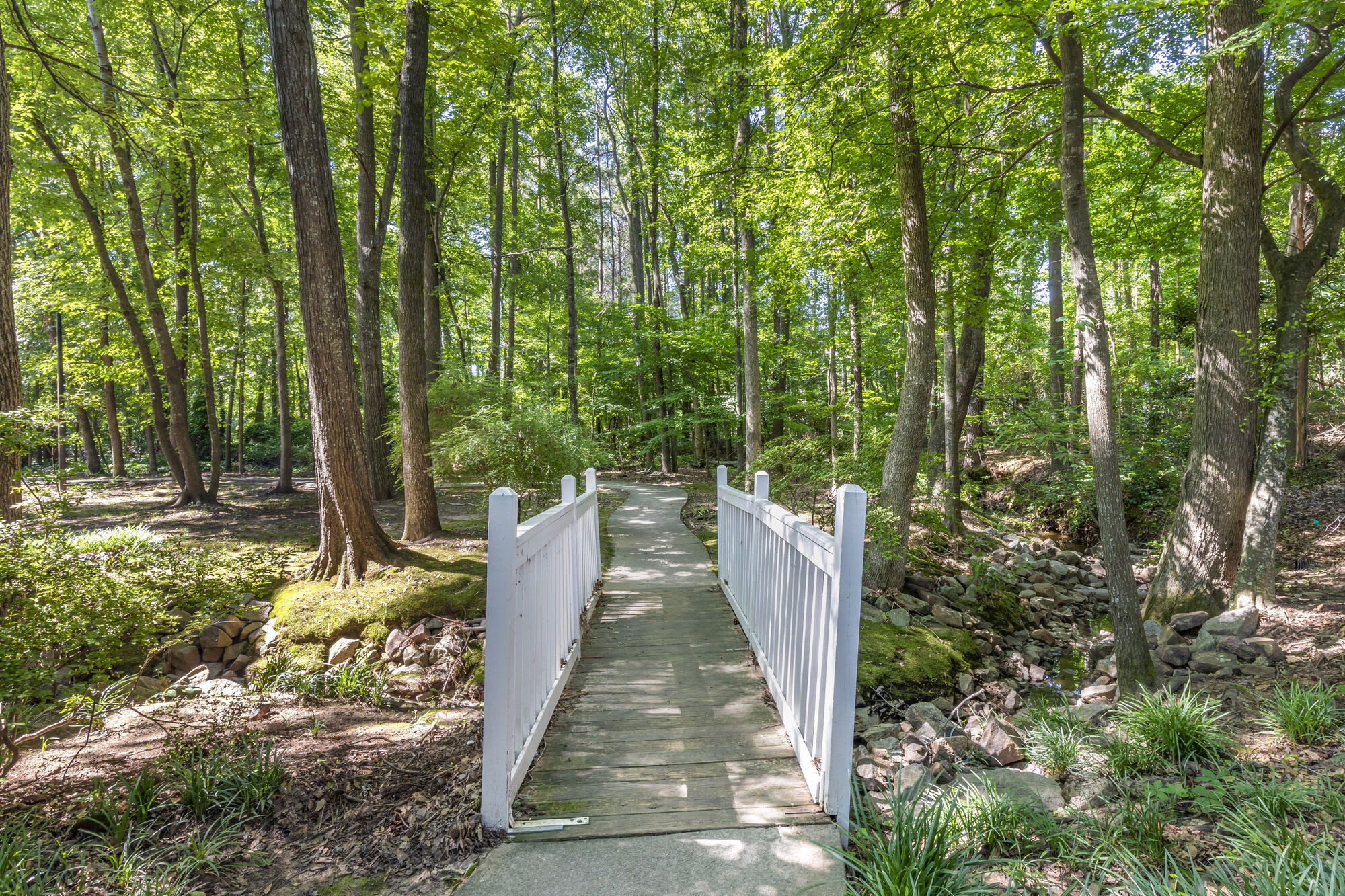 Avenue at Harbison – photo 3