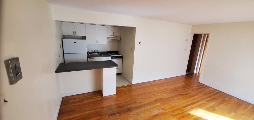 77 Trowbridge St. – photo 5