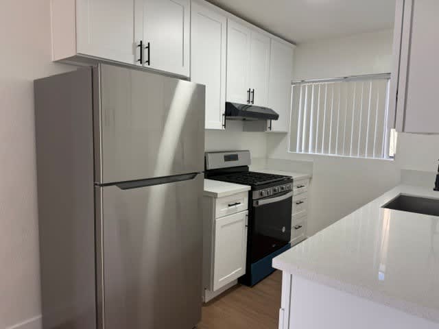 211 1/2 W. 88th Pl. – photo 3