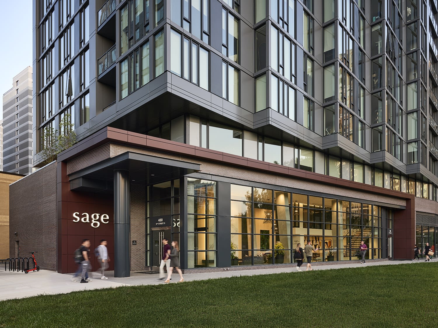Sage – photo 1