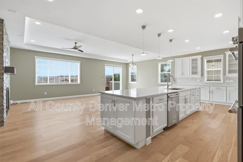 16910 W 95th Place – photo 4