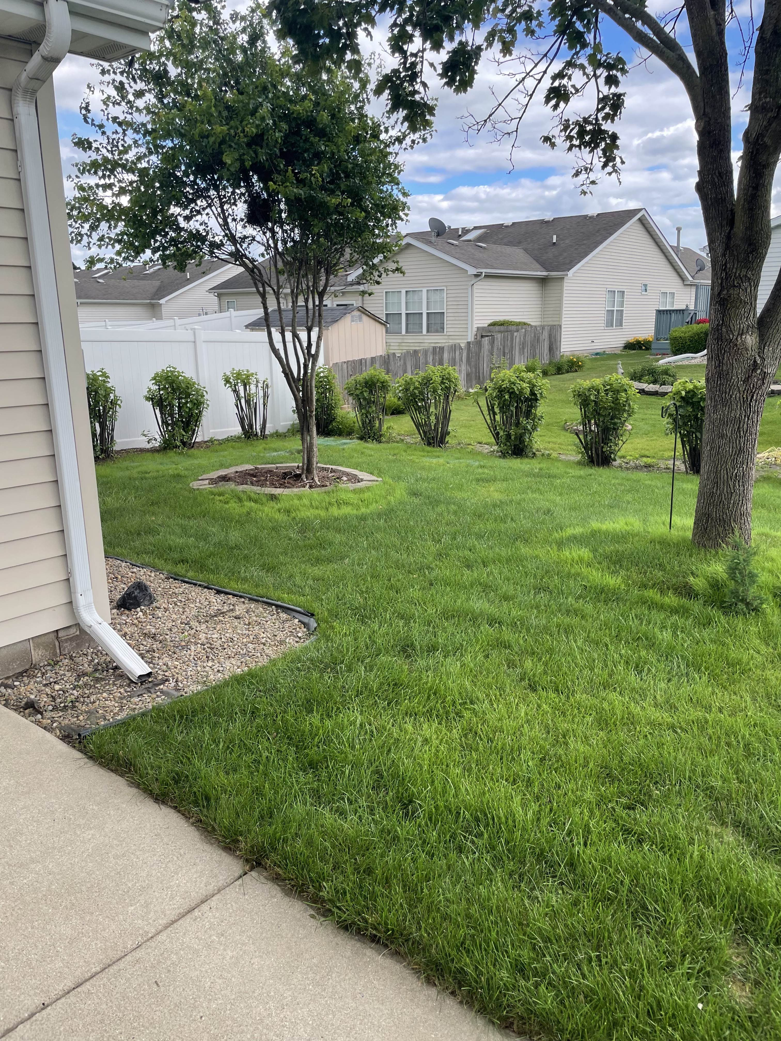1727 Chestnut Dr – photo 4