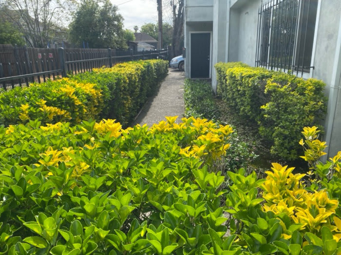 2635 Alhambra Boulevard – photo 3
