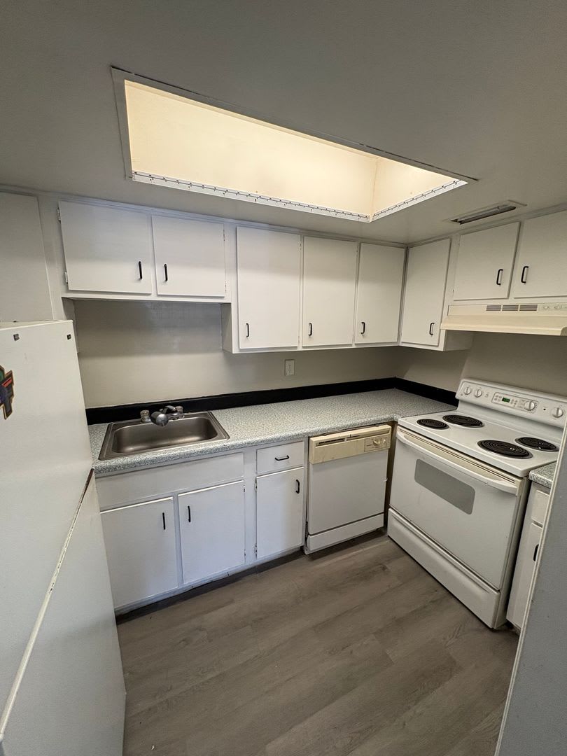 Spacious Studio in Maitland! – photo 4