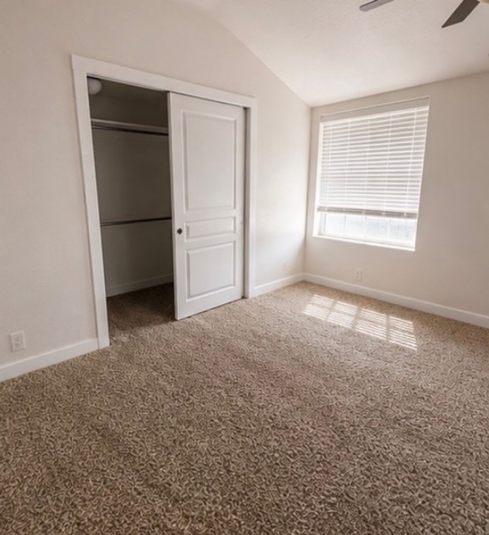 Charming updated 2 bedroom, 1 bath home in Ault – photo 2