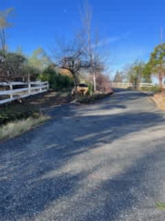 15417 Wolf Mountain Road – photo 3