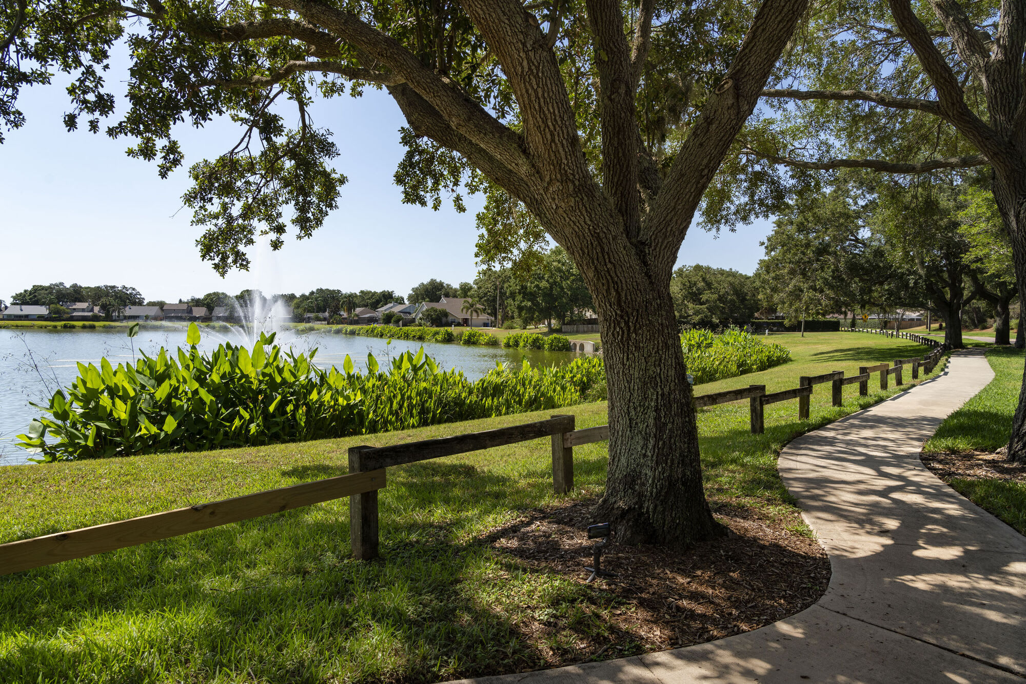 Providence Lakes – photo 2