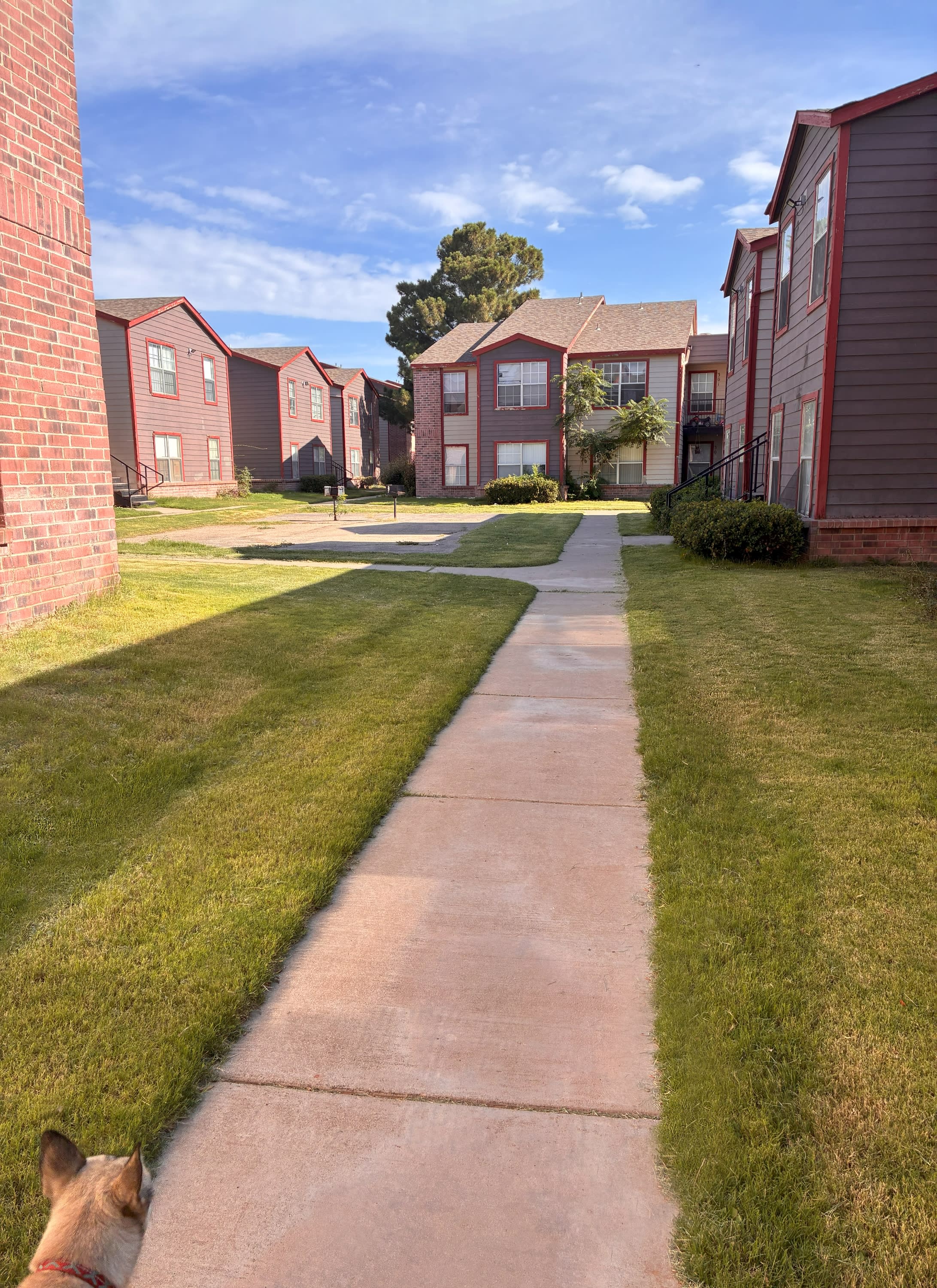 1200 East Broadway Street, Hobbs, NM, 88240 – photo 3