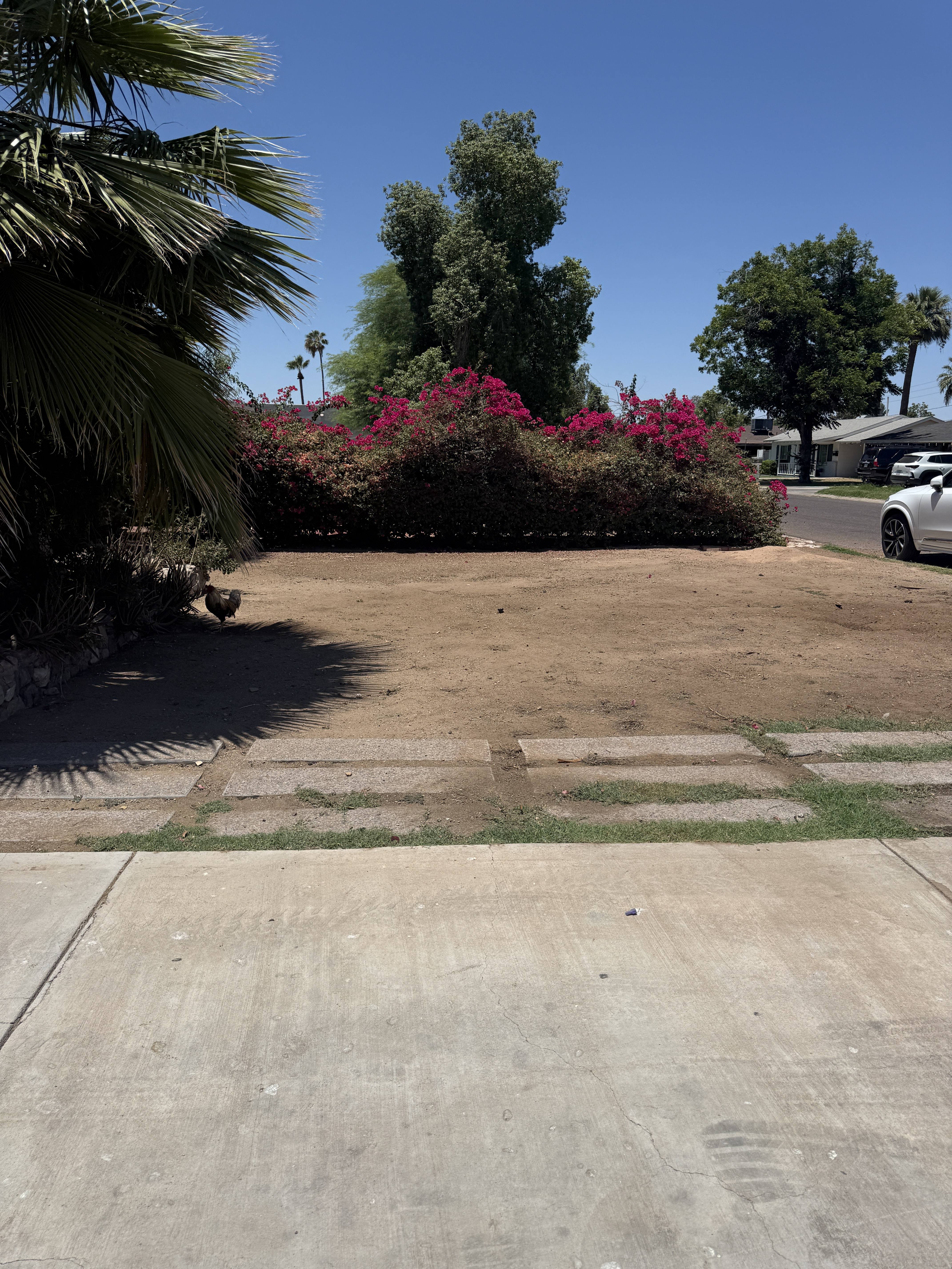 3515 East Flower Street – photo 4