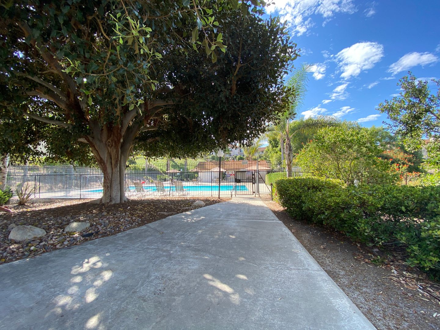 Beautifully Updated 2-Bedroom Condo in The Villas of Calavera – photo 5