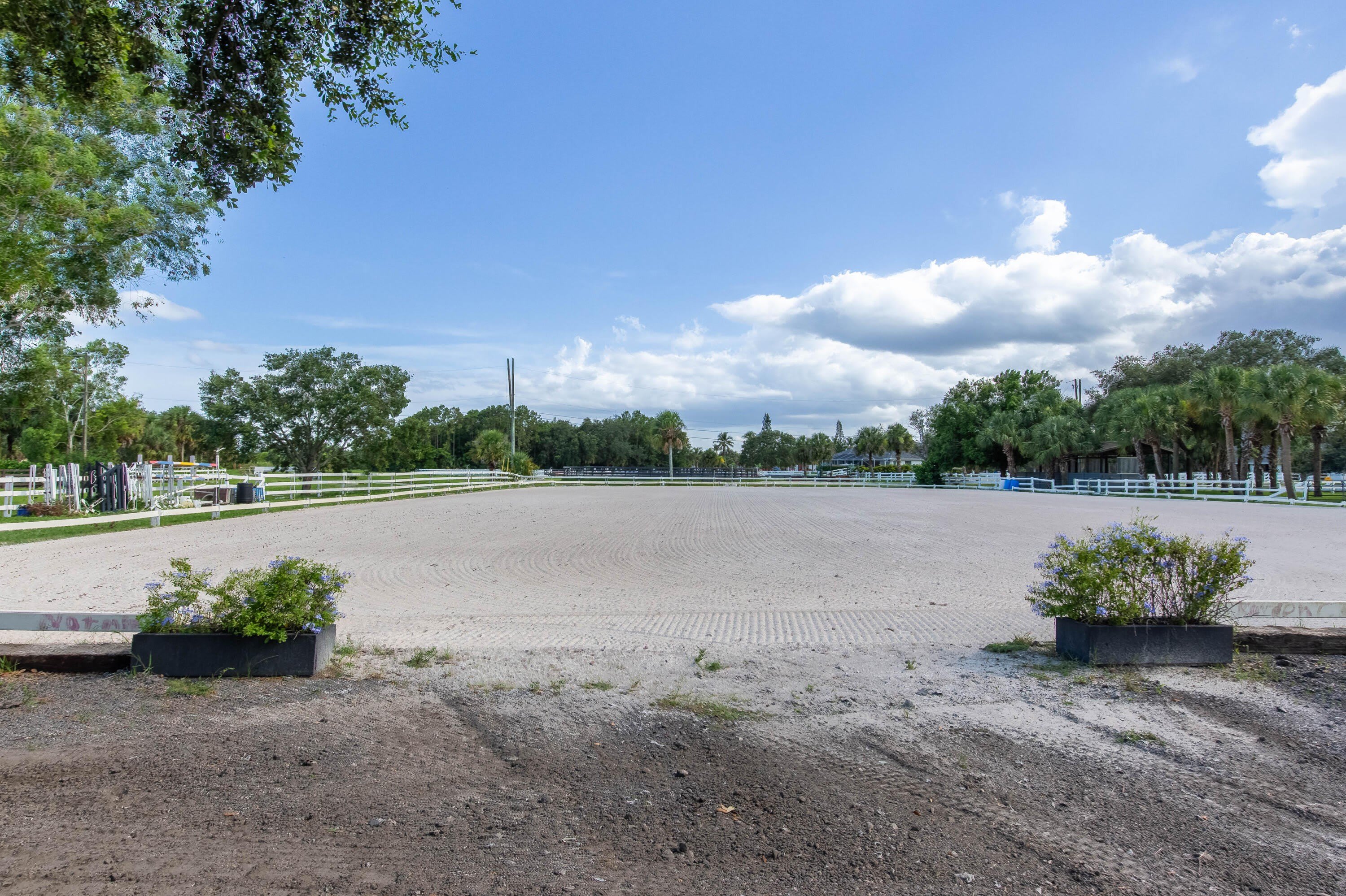 844 Arabian Drive – photo 5